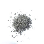 Pins Para Tambor De Pulido 1 X 4 Mm